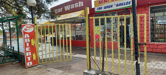 Mini Super Car-wash "grillos"